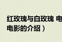 紅玫瑰與白玫瑰 電影（關(guān)于紅玫瑰與白玫瑰 電影的介紹）
