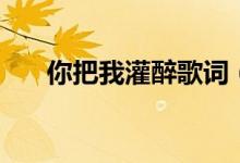 你把我灌醉歌詞（你把我灌醉歌簡介）