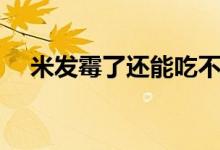 米發(fā)霉了還能吃不（米發(fā)霉了還能吃嗎）