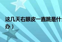 這幾天右眼皮一直跳是什么預(yù)兆（眼皮一直跳好幾天了怎么辦）