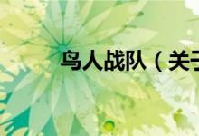 鳥(niǎo)人戰(zhàn)隊(duì)（關(guān)于鳥(niǎo)人戰(zhàn)隊(duì)的介紹）