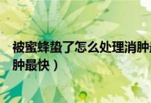 被蜜蜂蟄了怎么處理消腫最快止痛（被蜜蜂蟄了怎么處理消腫最快）