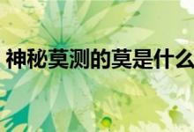 神秘莫測的莫是什么意思（神秘莫測的含義）