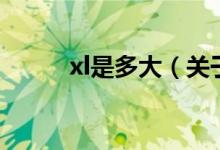 xl是多大（關(guān)于xl是多大的介紹）