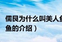 儒艮為什么叫美人魚（關(guān)于儒艮為什么叫美人魚的介紹）