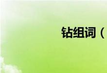 鉆組詞（鉆組詞解釋）