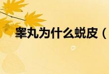 睪丸為什么蛻皮（睪丸蛻皮是怎么回事）