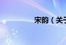 宋韻（關于宋韻的介紹）