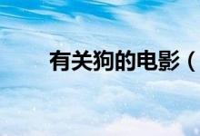 有關(guān)狗的電影（關(guān)于狗的電影推薦）