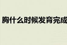 胸什么時(shí)候發(fā)育完成（胸什么時(shí)候發(fā)育最快）