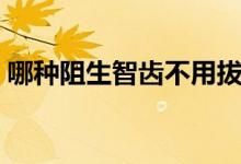 哪種阻生智齒不用拔（哪種阻生智齒最難拔）