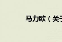 馬力歐（關(guān)于馬力歐的介紹）