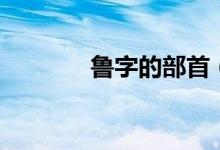 魯字的部首（魯字怎么組詞）