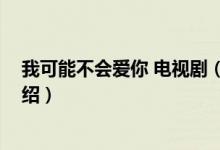 我可能不會愛你 電視?。P(guān)于我可能不會愛你 電視劇的介紹）