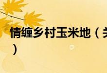 情纏鄉(xiāng)村玉米地（關(guān)于情纏鄉(xiāng)村玉米地的介紹）