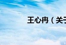 王心冉（關(guān)于王心冉的介紹）