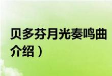 貝多芬月光奏鳴曲（關(guān)于貝多芬月光奏鳴曲的介紹）