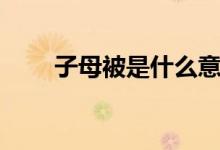 子母被是什么意思（子母被是什么）