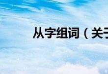 從字組詞（關(guān)于從字組詞的介紹）