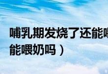 哺乳期發(fā)燒了還能喂母乳嗎（哺乳期發(fā)燒了還能喂奶嗎）