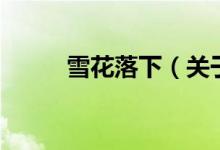 雪花落下（關(guān)于雪花落下的介紹）