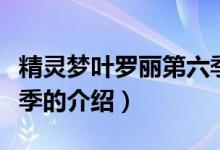 精靈夢(mèng)葉羅麗第六季（關(guān)于精靈夢(mèng)葉羅麗第六季的介紹）