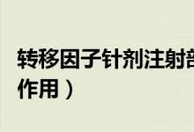 轉(zhuǎn)移因子針劑注射部位（轉(zhuǎn)移因子注射針劑的作用）