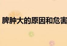脾腫大的原因和危害（脾腫大的原因和危害）
