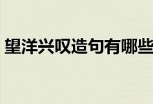 望洋興嘆造句有哪些（怎么用望洋興嘆造句）