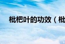 枇杷葉的功效（枇杷葉的功效作用介紹）