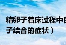 精卵子著床過(guò)程中白帶有什么癥狀（精子和卵子結(jié)合的癥狀）