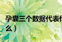 孕囊三個(gè)數(shù)據(jù)代表什么（孕囊三個(gè)數(shù)據(jù)代表什么）