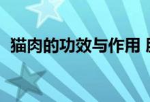 貓肉的功效與作用 肺（貓肉的功效與作用）