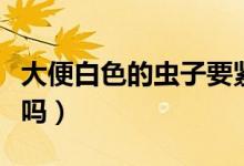 大便白色的蟲(chóng)子要緊嗎（大便白色的蟲(chóng)子要緊嗎）