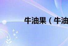 牛油果（牛油果孕婦可以吃嗎）