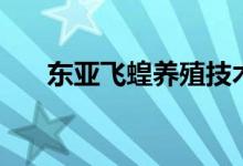 東亞飛蝗養(yǎng)殖技術(shù)（這里有詳細(xì)說(shuō)明）