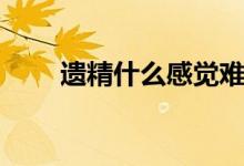 遺精什么感覺難受（遺精什么感覺）