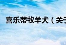 喜樂蒂牧羊犬（關(guān)于喜樂蒂牧羊犬的介紹）