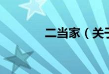 二當家（關于二當家的介紹）