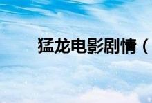 猛龍電影劇情（猛龍電影劇情簡(jiǎn)介）