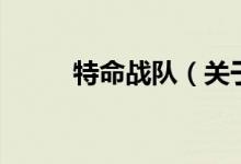 特命戰(zhàn)隊（關(guān)于特命戰(zhàn)隊的介紹）