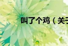 叫了個(gè)雞（關(guān)于叫了個(gè)雞的介紹）
