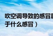 吹空調(diào)導(dǎo)致的感冒屬于什么感冒（空調(diào)感冒屬于什么感冒）