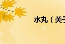 水丸（關于水丸的介紹）
