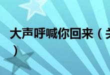 大聲呼喊你回來（關(guān)于大聲呼喊你回來的介紹）