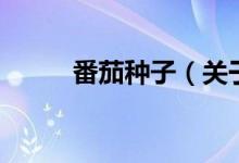 番茄種子（關(guān)于番茄種子的介紹）