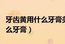 牙齒黃用什么牙膏美白效果更好（牙齒黃用什么牙膏）