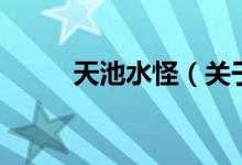 天池水怪（關于天池水怪的介紹）