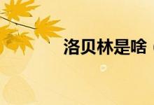 洛貝林是啥（什么是洛貝林）