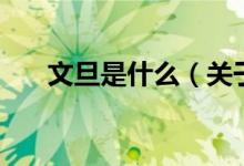 文旦是什么（關(guān)于文旦是什么的介紹）